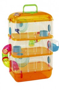 cochon d’inde,types de cobayes ,cobayes à poils longs,un rongeur herbivore,l’alimentation du cochon d’inde,une cage ,animal très social
